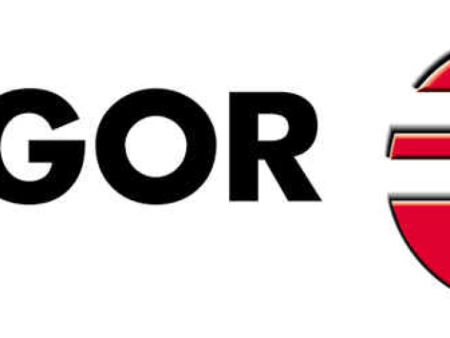 fagor_logo