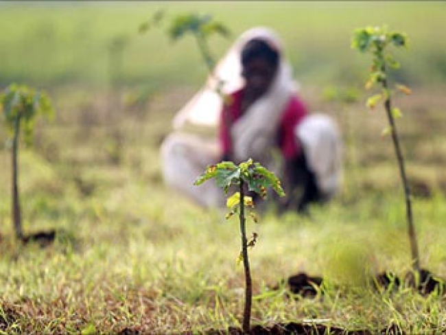 relaciones sexuales, homosexuales, criminalización, India