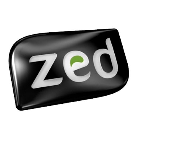 zed_worlwide_india_jv