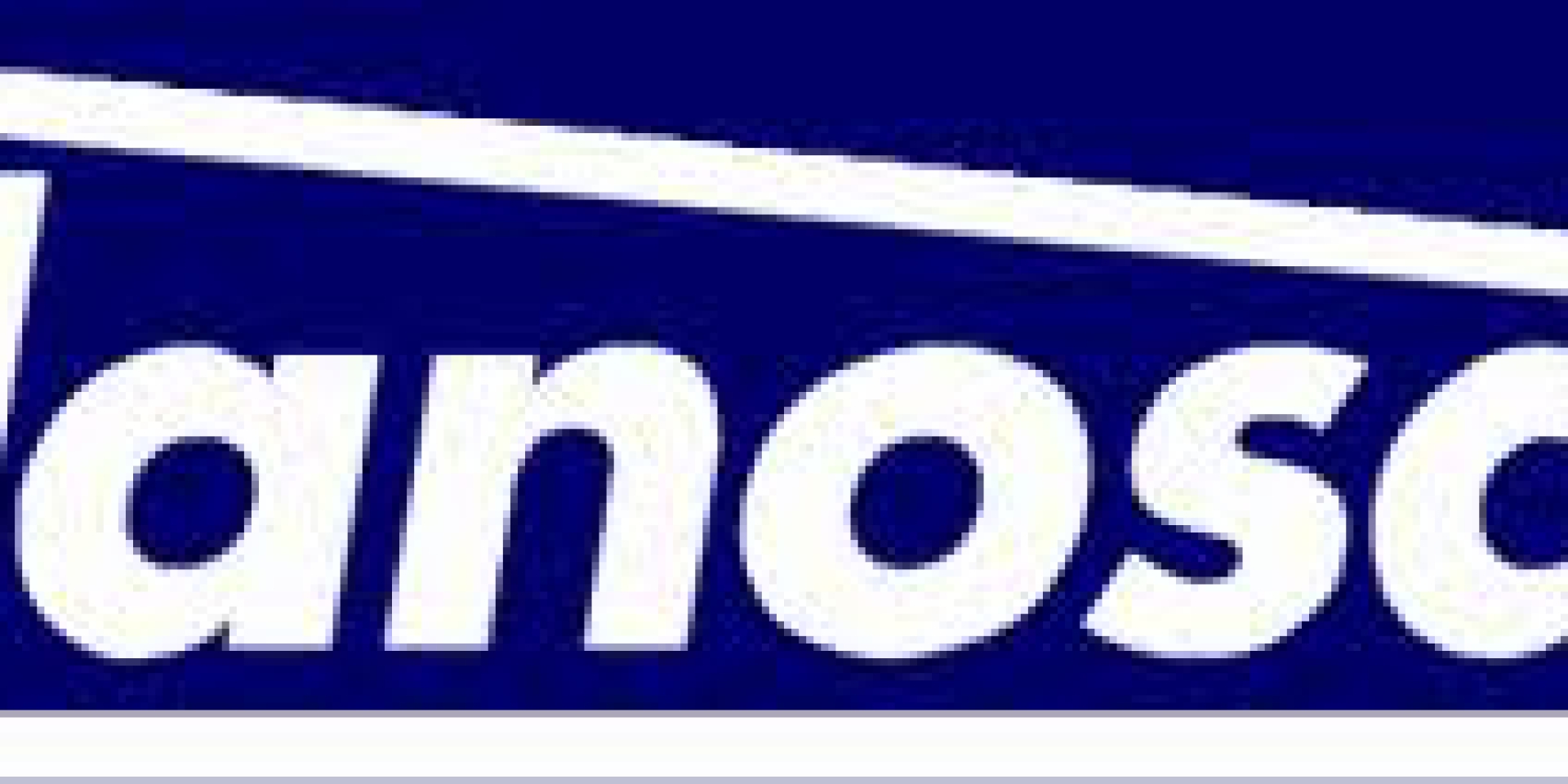 INDOLINK_India_Danosa