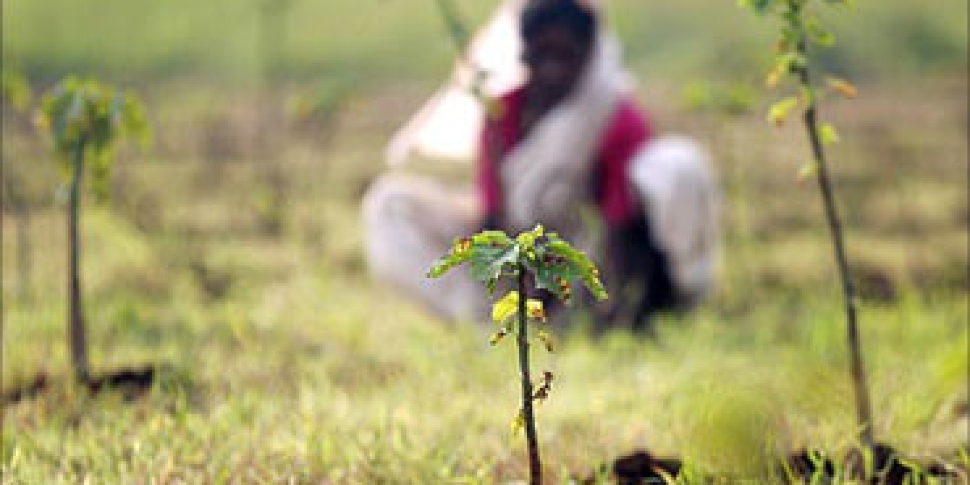 relaciones sexuales, homosexuales, criminalización, India